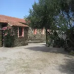 La Chintana Palmadula