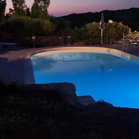 La Chintana Palmadula