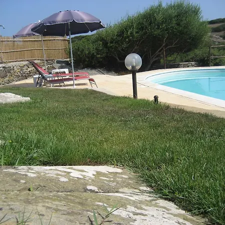 La Chintana Palmadula