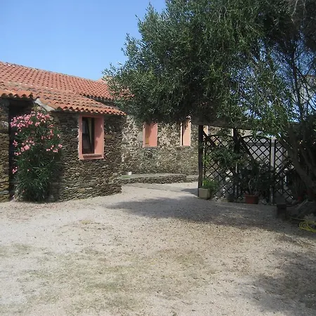 La Chintana Palmadula