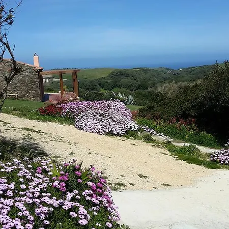 Vakantiehuis La Chintana Palmadula