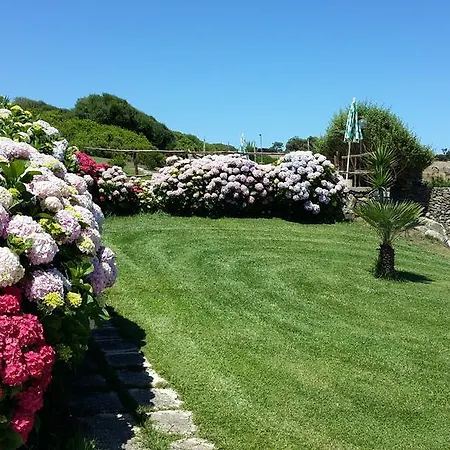 La Chintana Palmadula