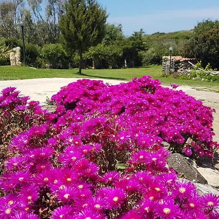 Vakantiehuis La Chintana