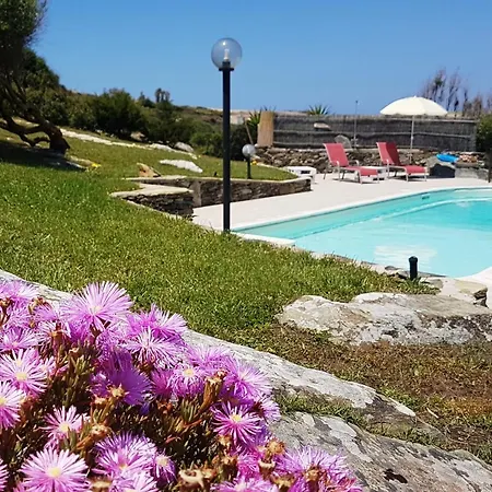 La Chintana Palmadula