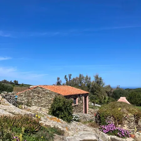 La Chintana Casa vacanze Palmadula
