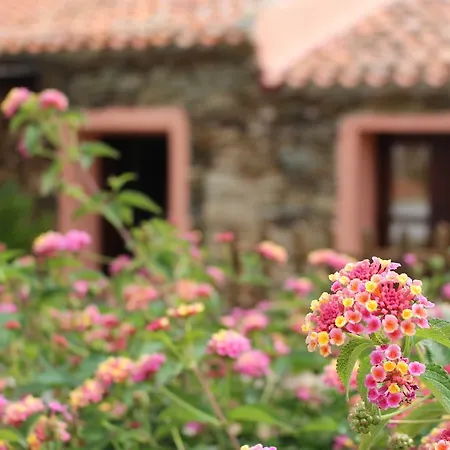 Casa vacanze La Chintana *