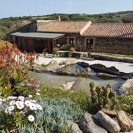 La Chintana Casa vacanze Palmadula