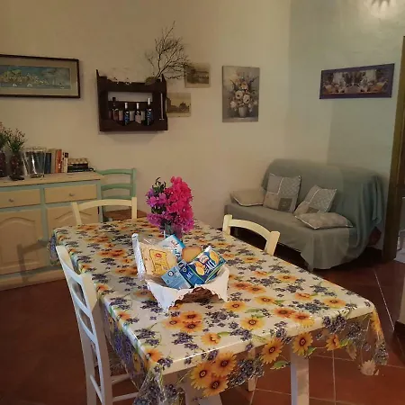 La Chintana Palmadula