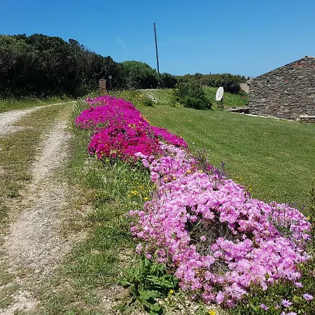 Casa vacanze La Chintana *