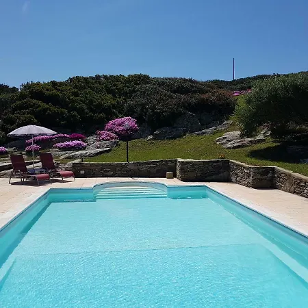 La Chintana Palmadula