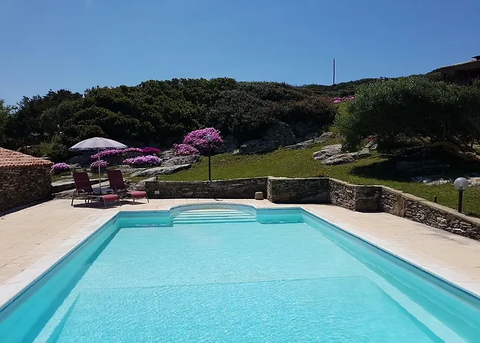 La Chintana Palmadula